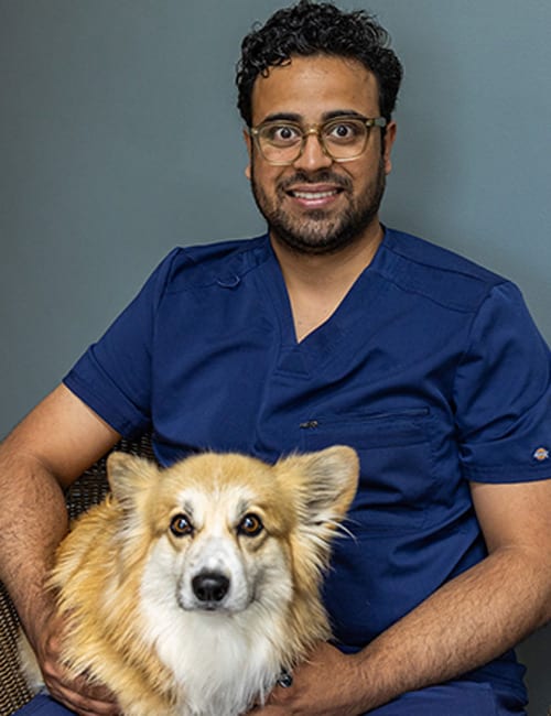 Dr. Tauseef Shah, New Ulm Veterinarian