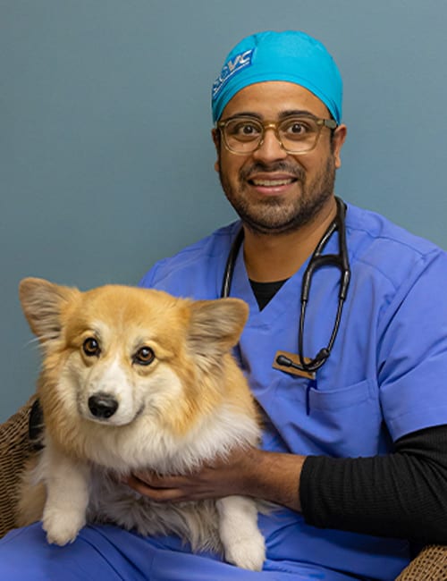 Dr. Tauseef Shah, New Ulm Veterinarian